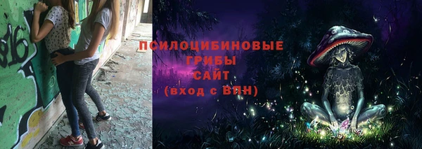 прущий лед Тобольск